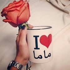 ايلاف محمد