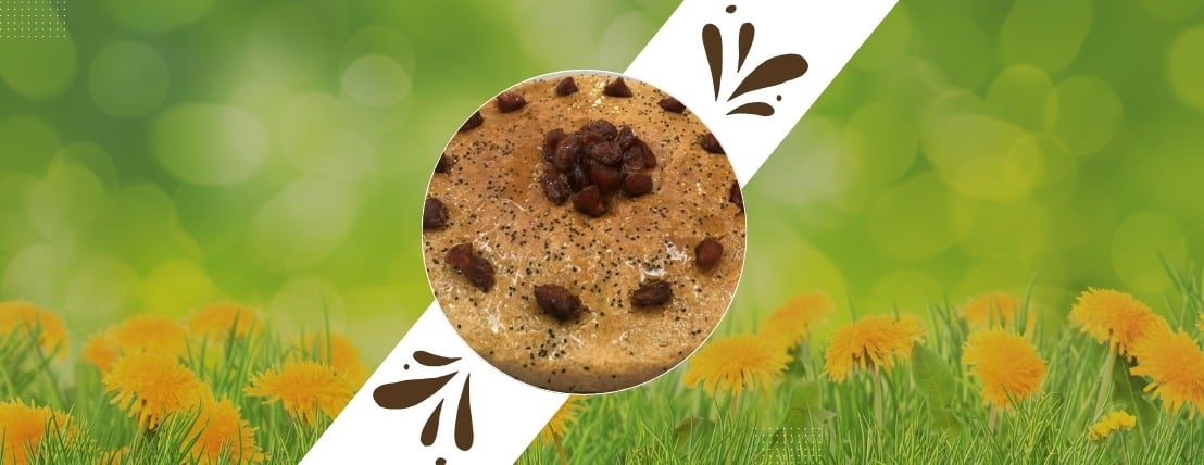 مراعي القاضي image-slider-5