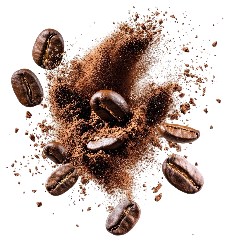 الأرابيكا image