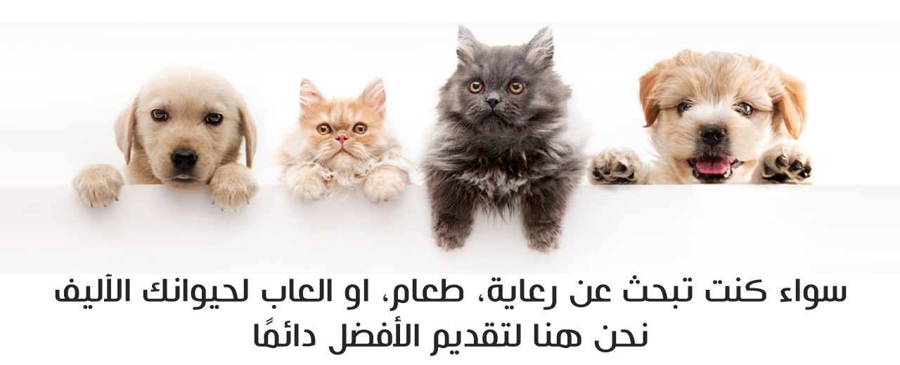 fixed banner