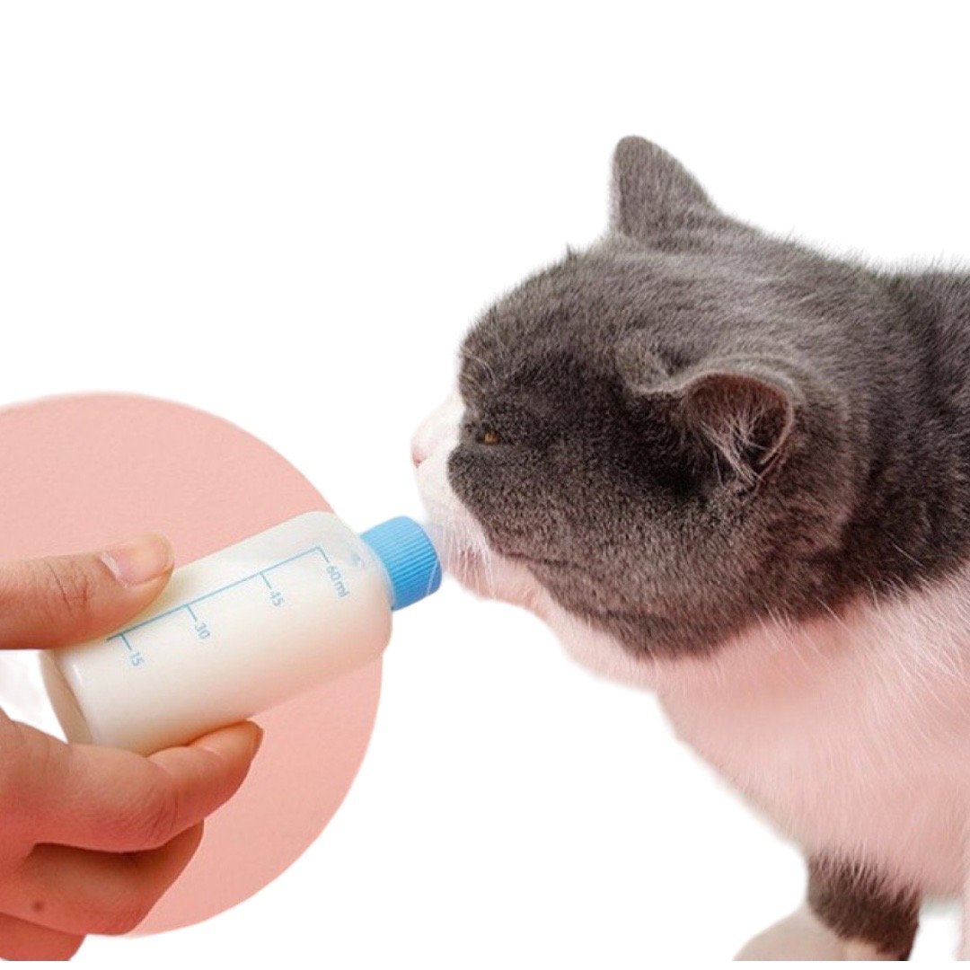 حلـــــيب القــطط