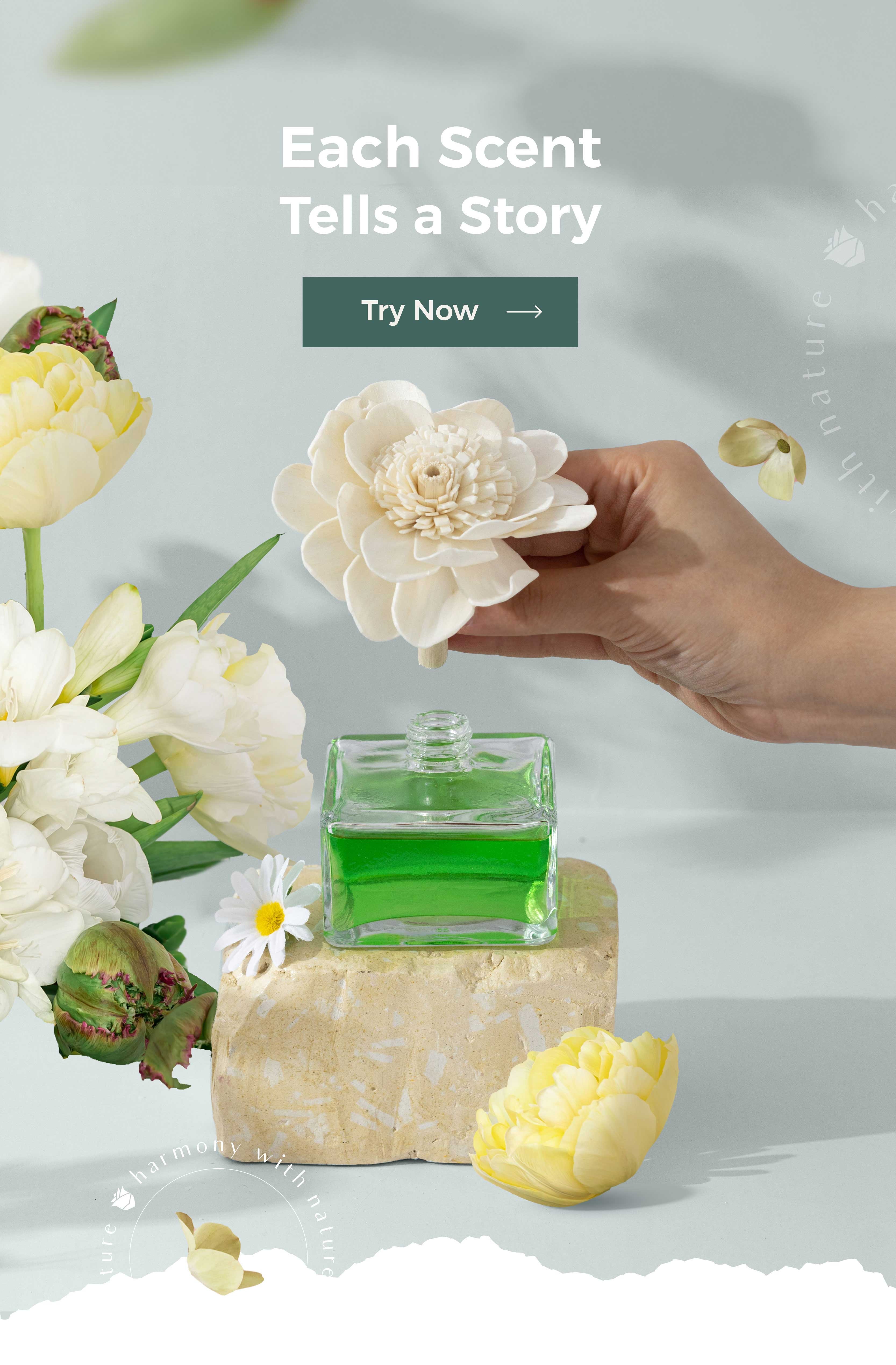 ARK STORE image-slider-1