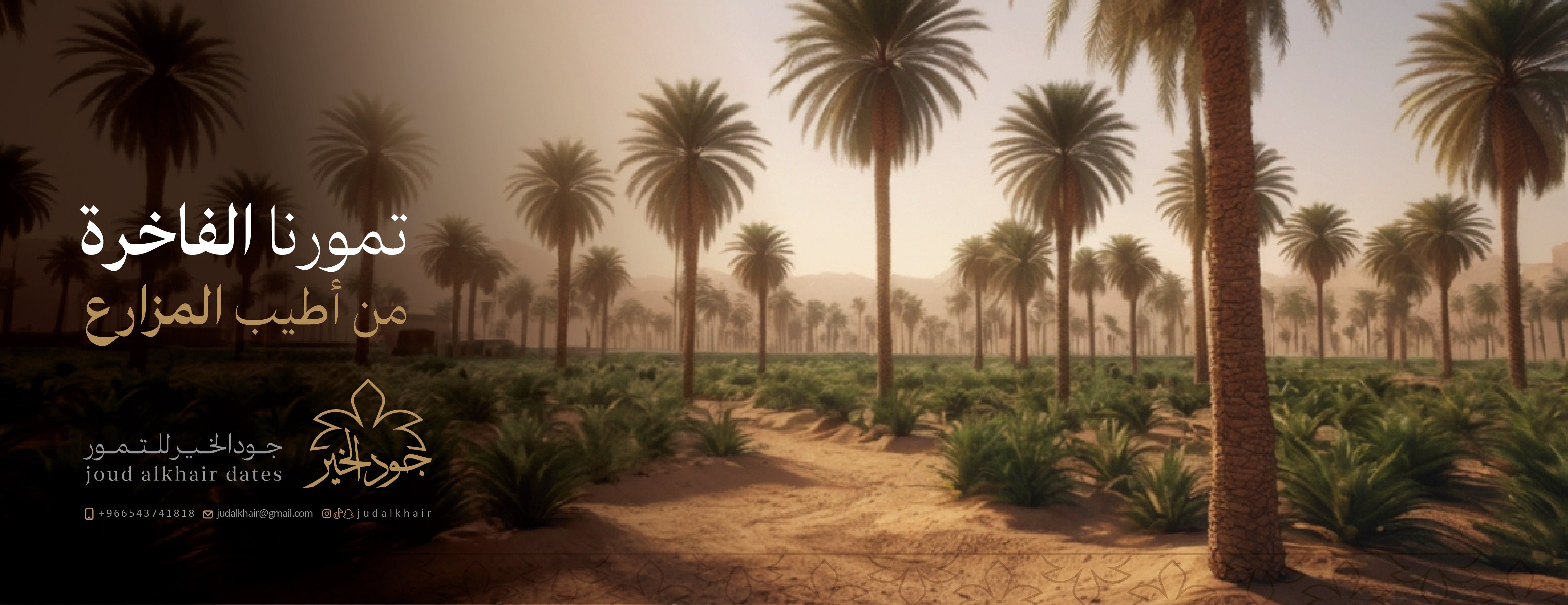 جود الخير للتمور image-slider-3