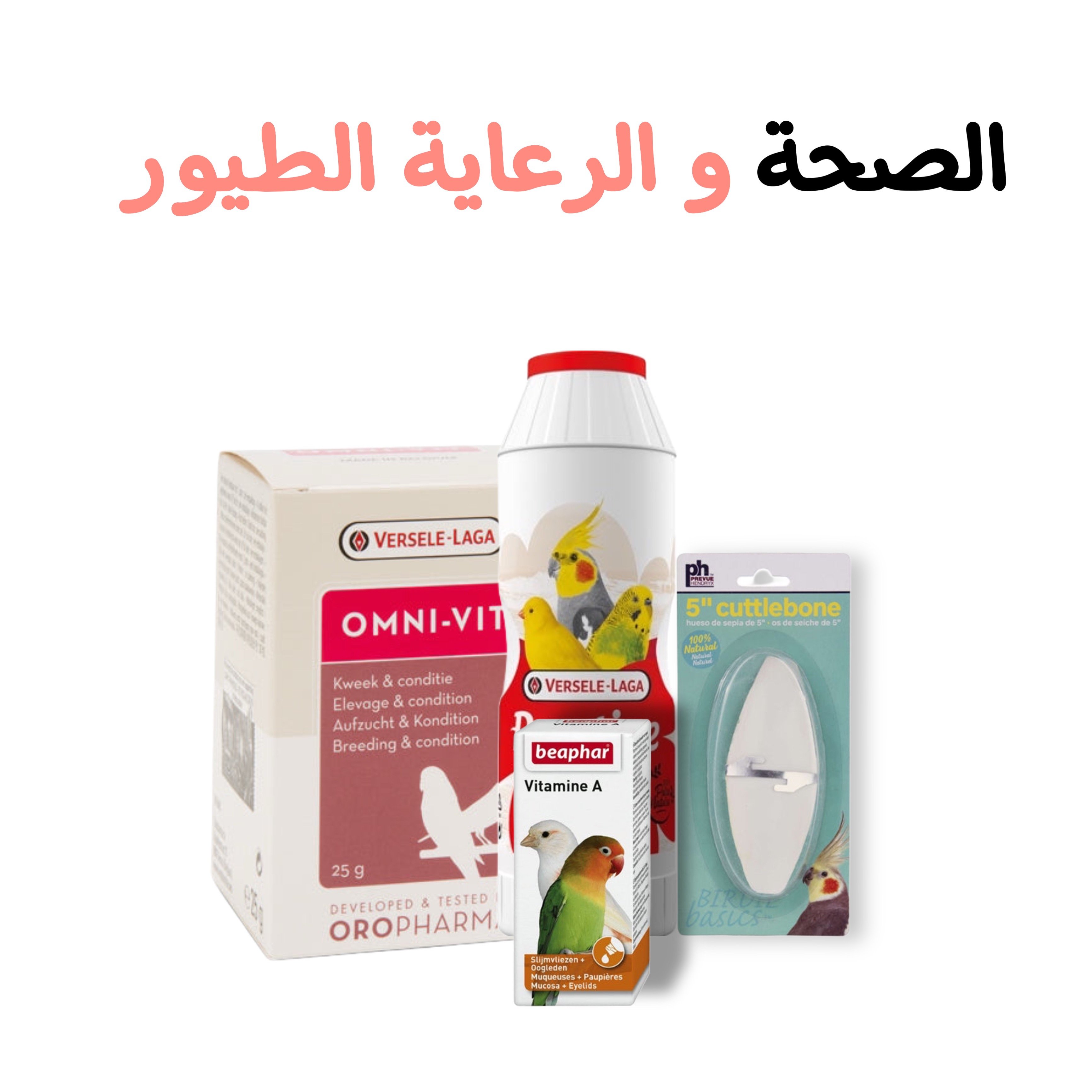 الصـحة و الرعـاية الطيور