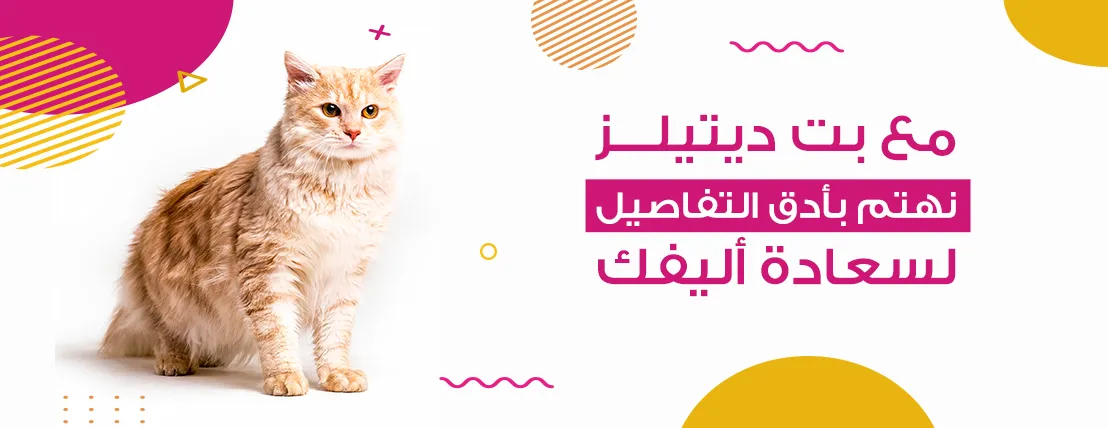 متجر تفاصيل الاليف | pet-details image-slider-2