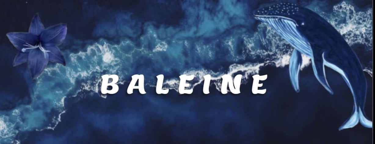 BALEINE image-slider-0