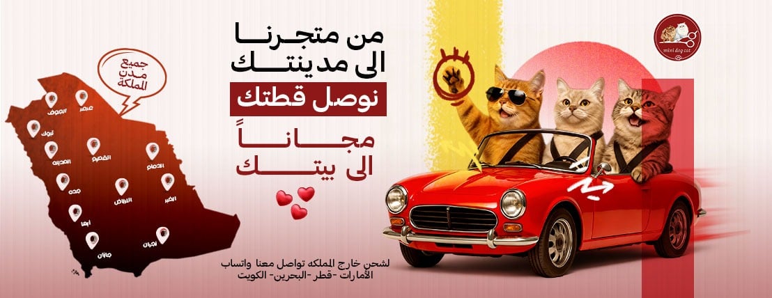 Mini zoo image-slider-0