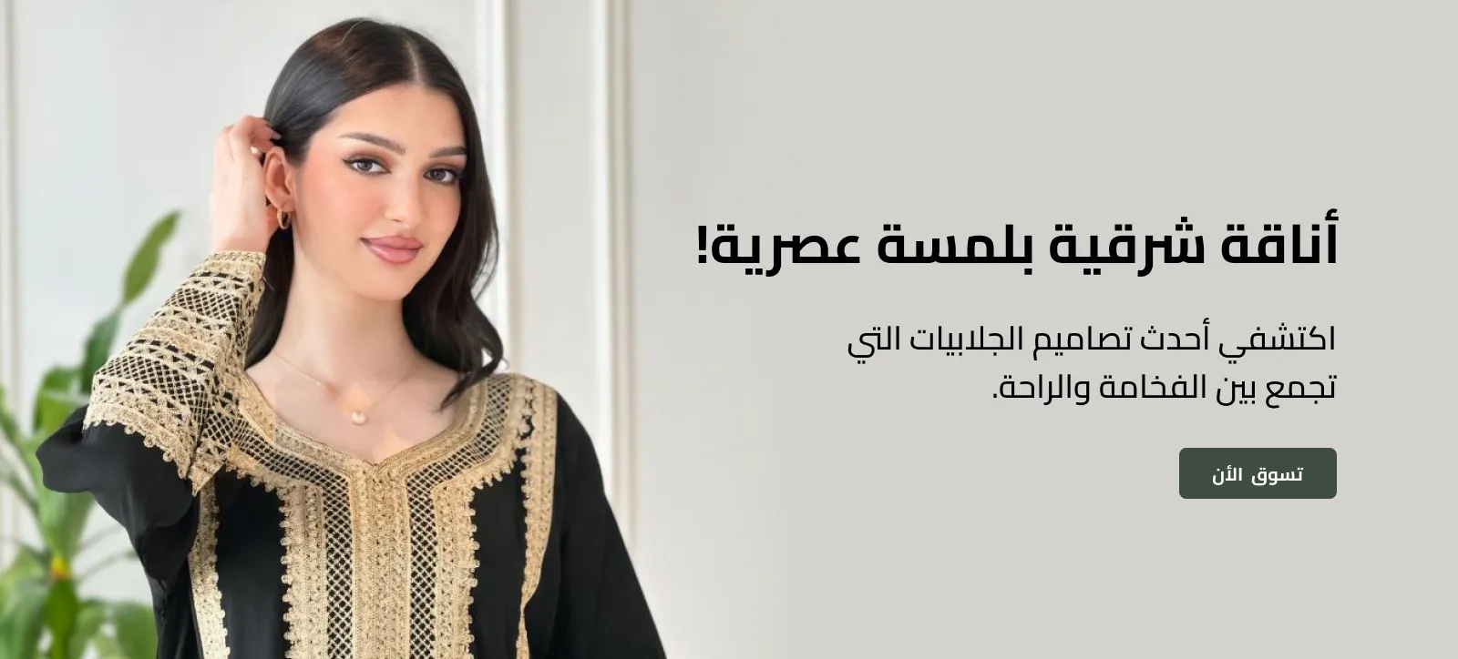 Palmyra image-slider-1