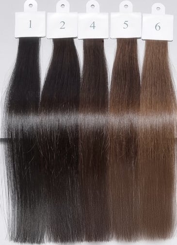 تابعونا على وسائل التواصل الاجتماعي