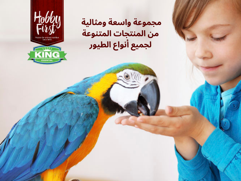 Special products slider