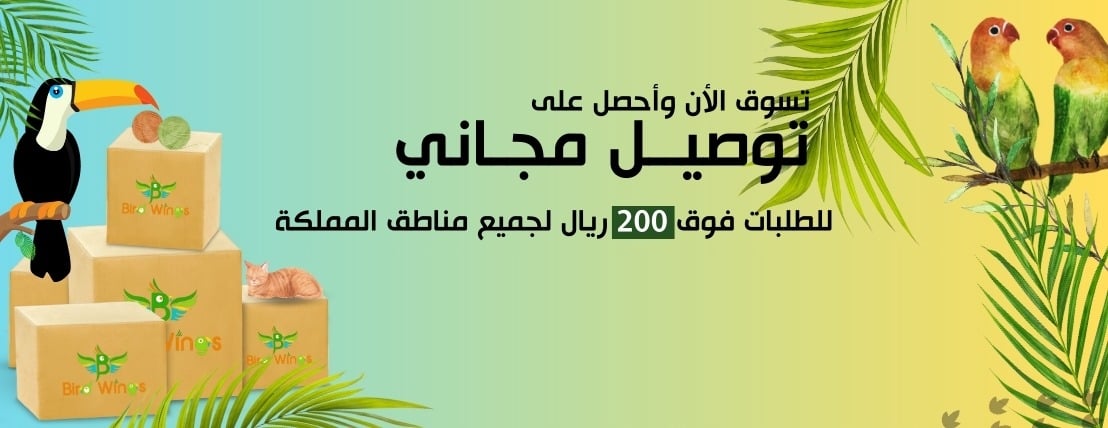 Birdwings image-slider-2