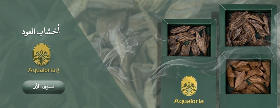 Aqualoria image-slider-0