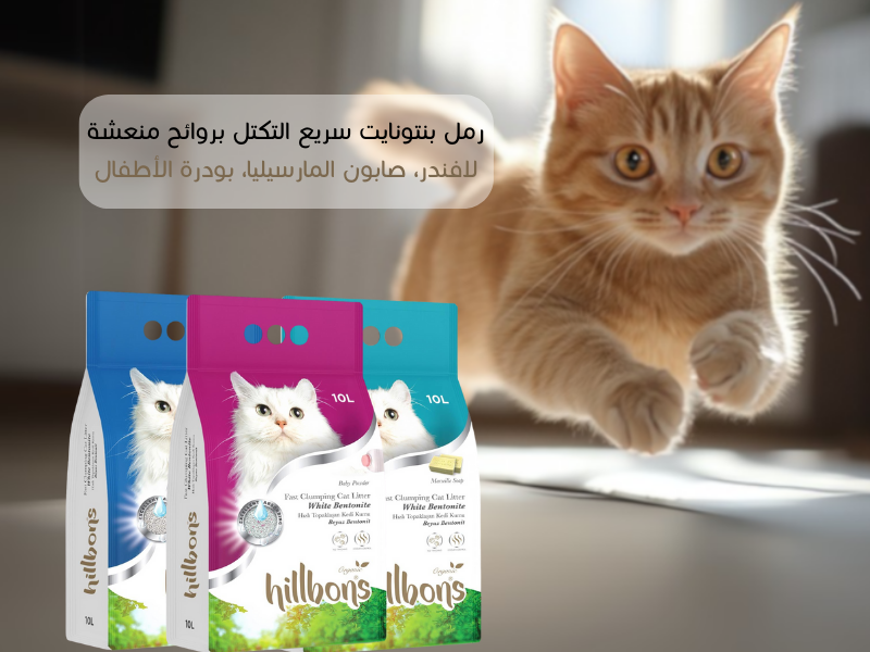 Special products slider