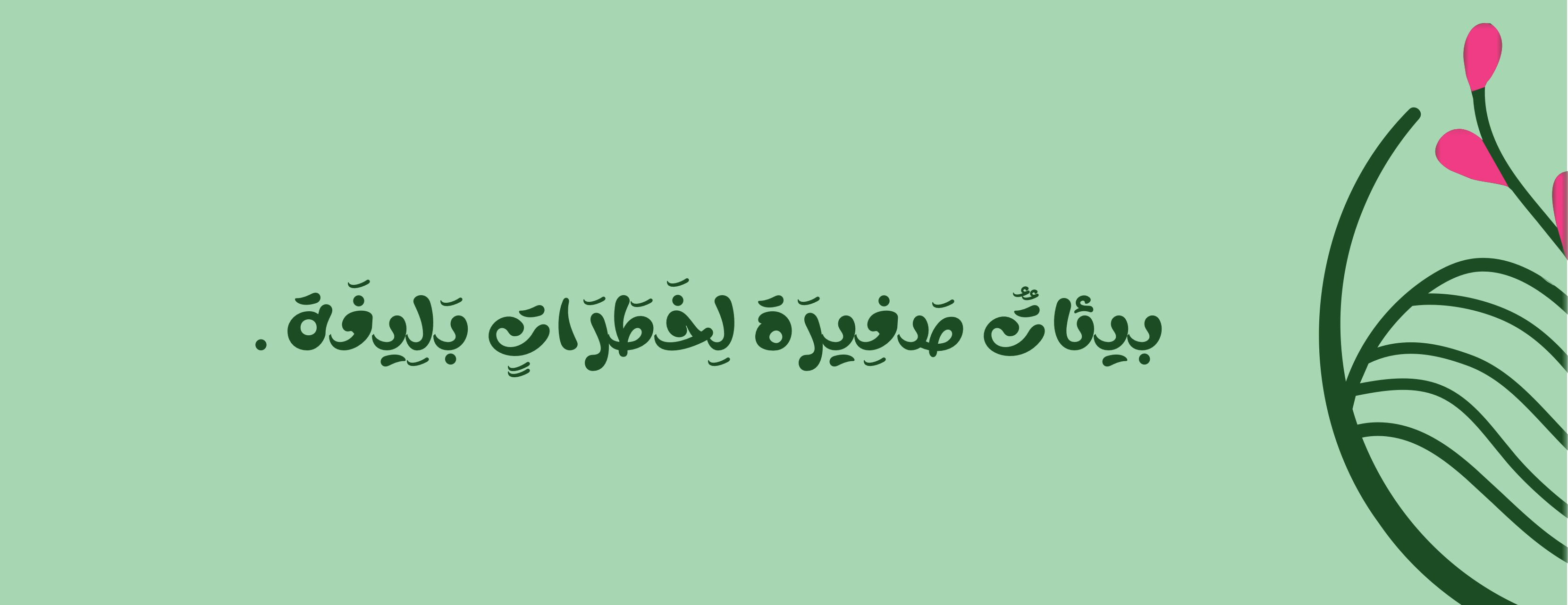 واحة نبتة image-slider-1