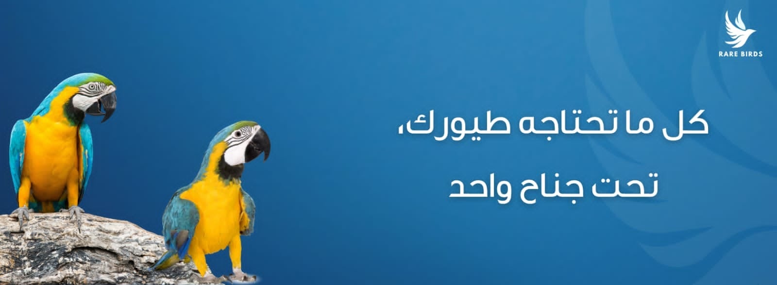 fixed banner