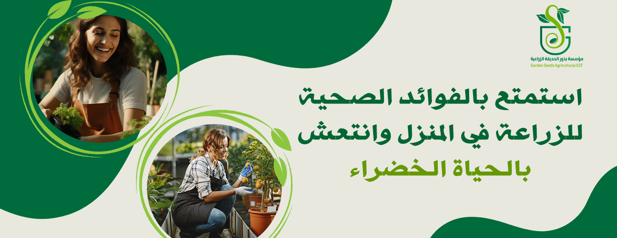 banner-slide