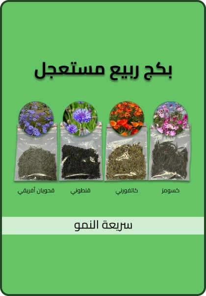 banner-image