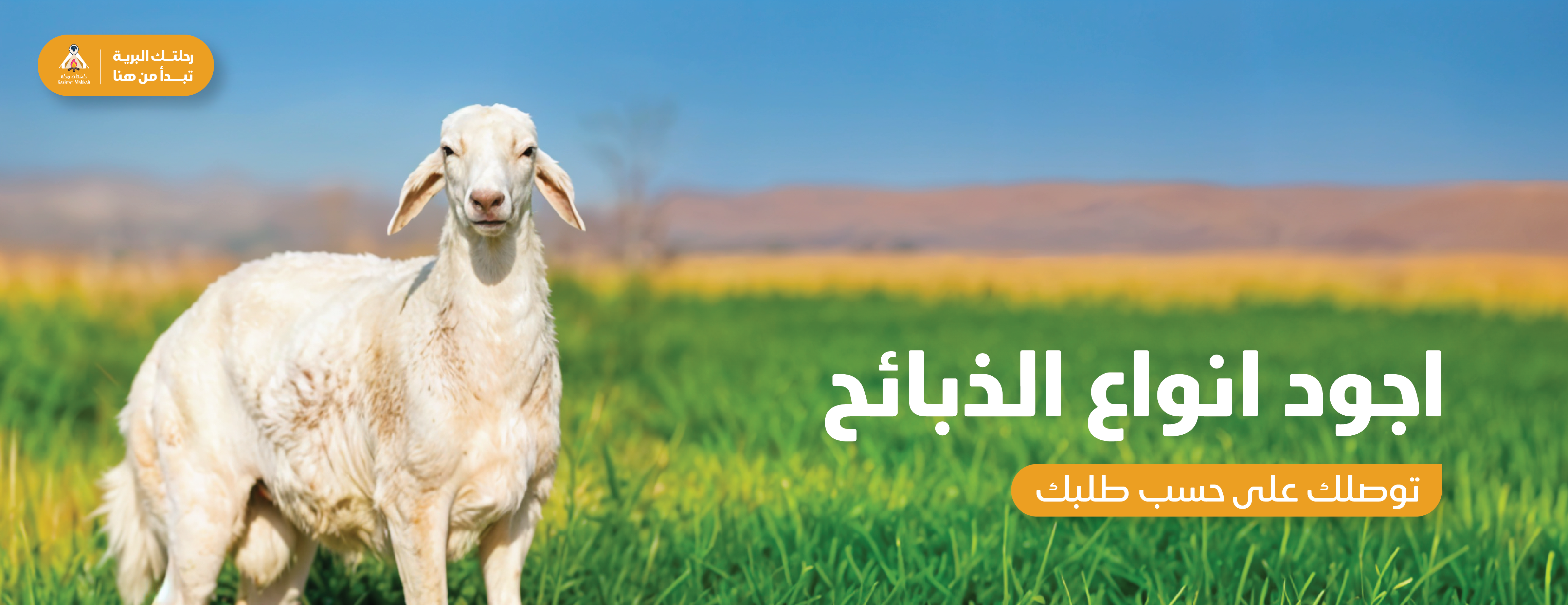 متجر كشتات مكة image-slider-0