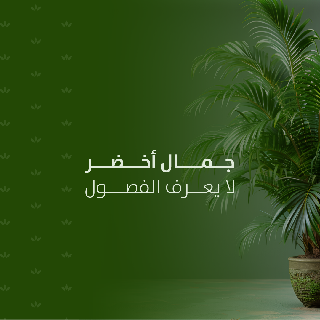 BANAYA image-slider-1