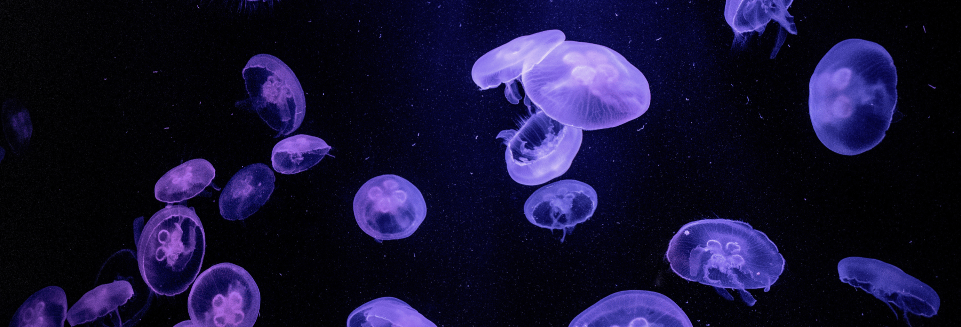 أكوا هيفن - Aqua Haven