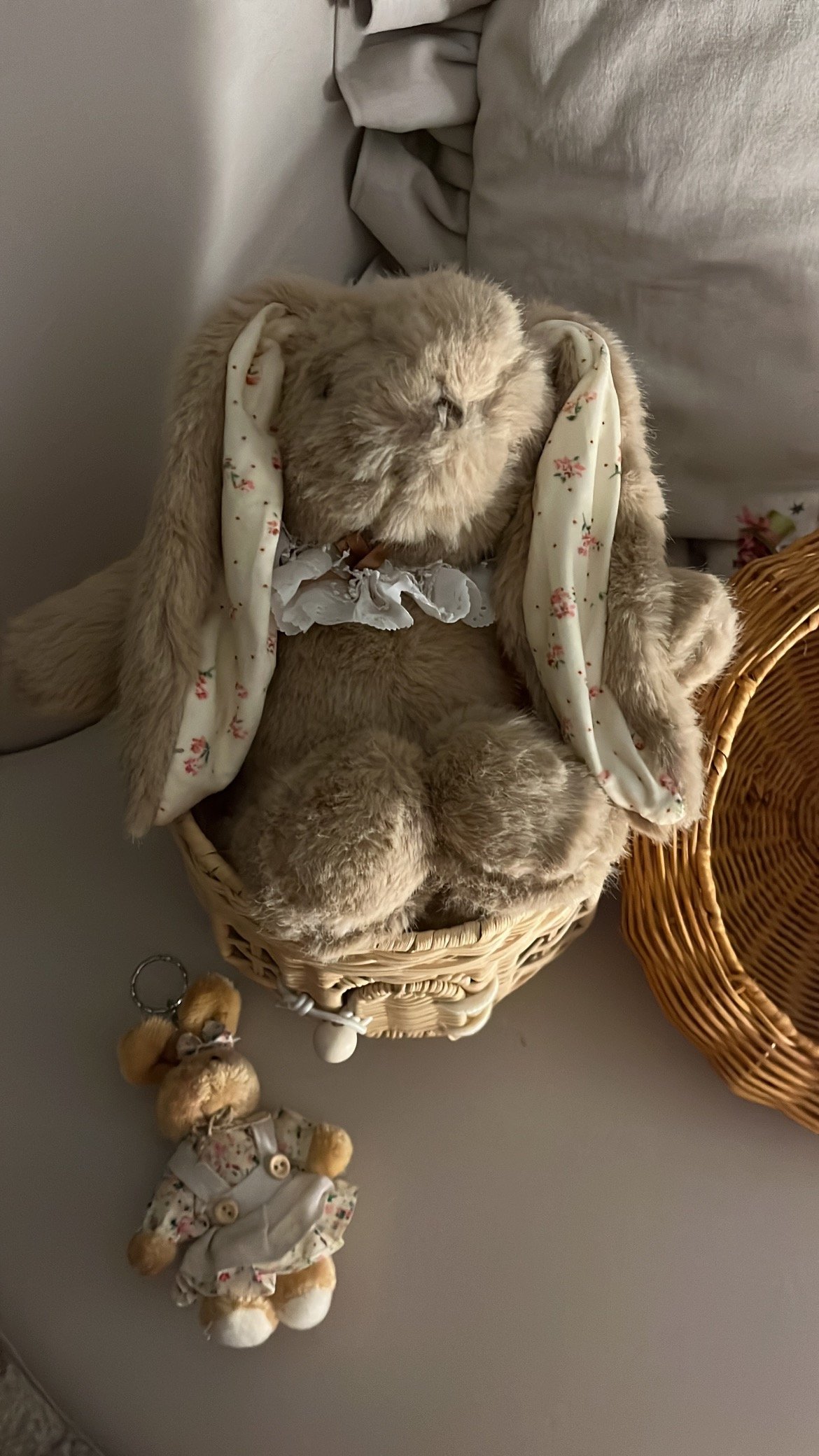 بيت الارنوب