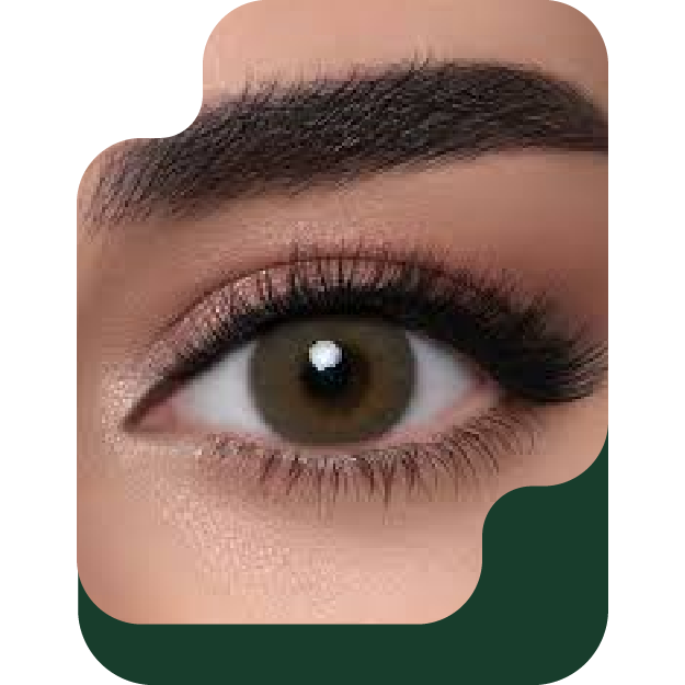 رموش وحواجب