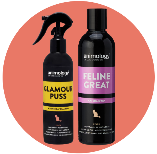 شامبو وعطور للقطط