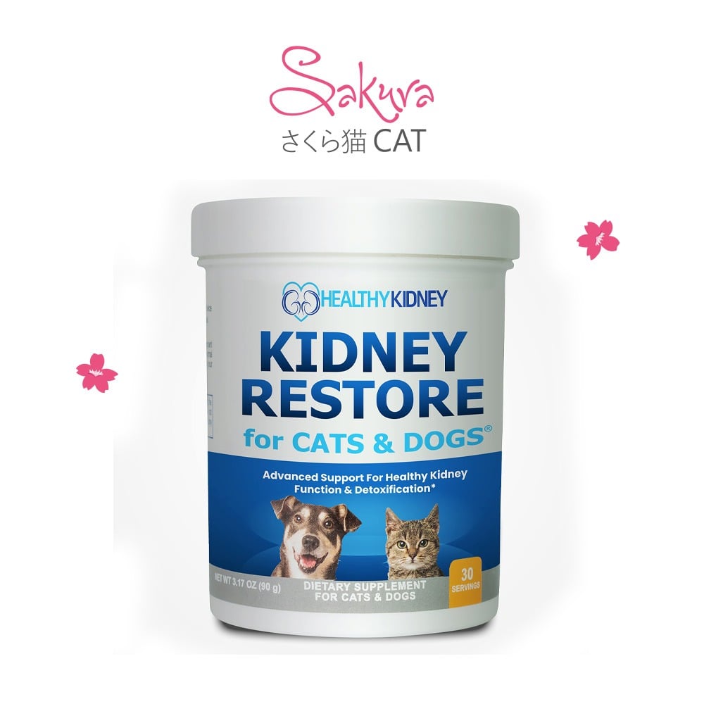 دعم وظائف الكلى و المسار البولي