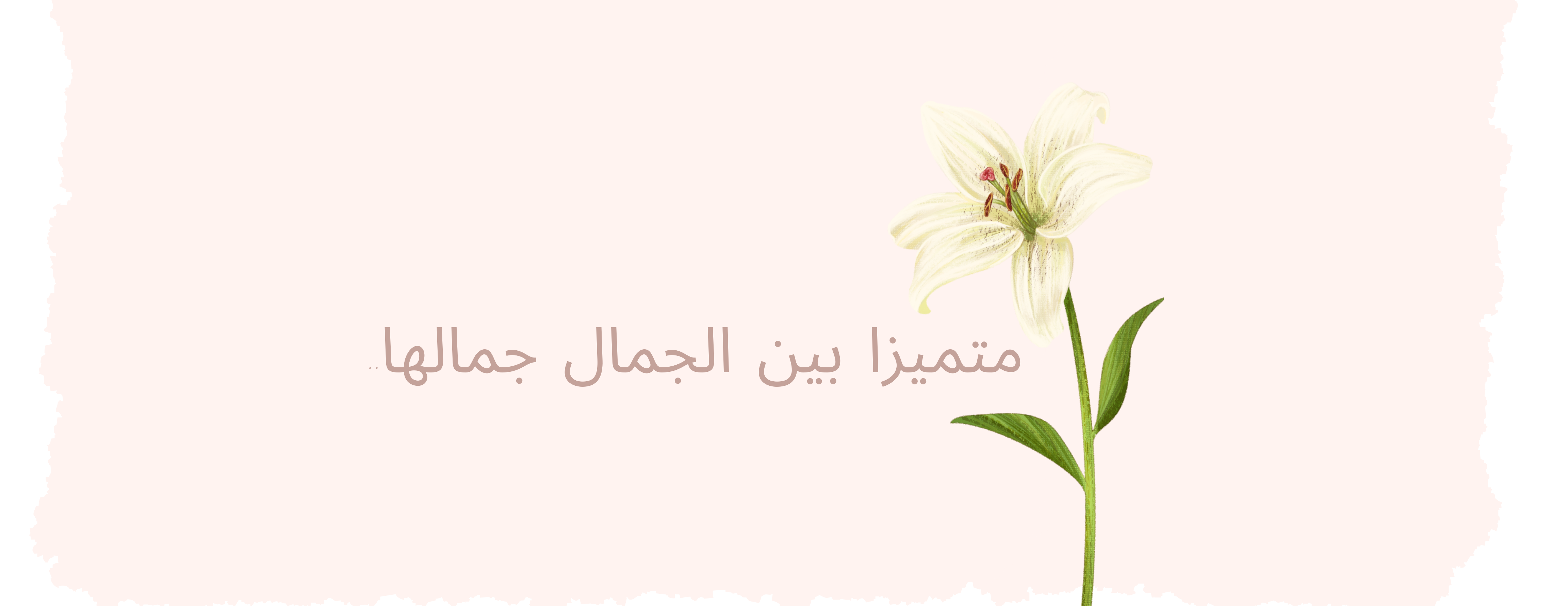 WardAbaya image-slider-0