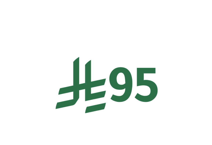 اليوم الوطني 95
