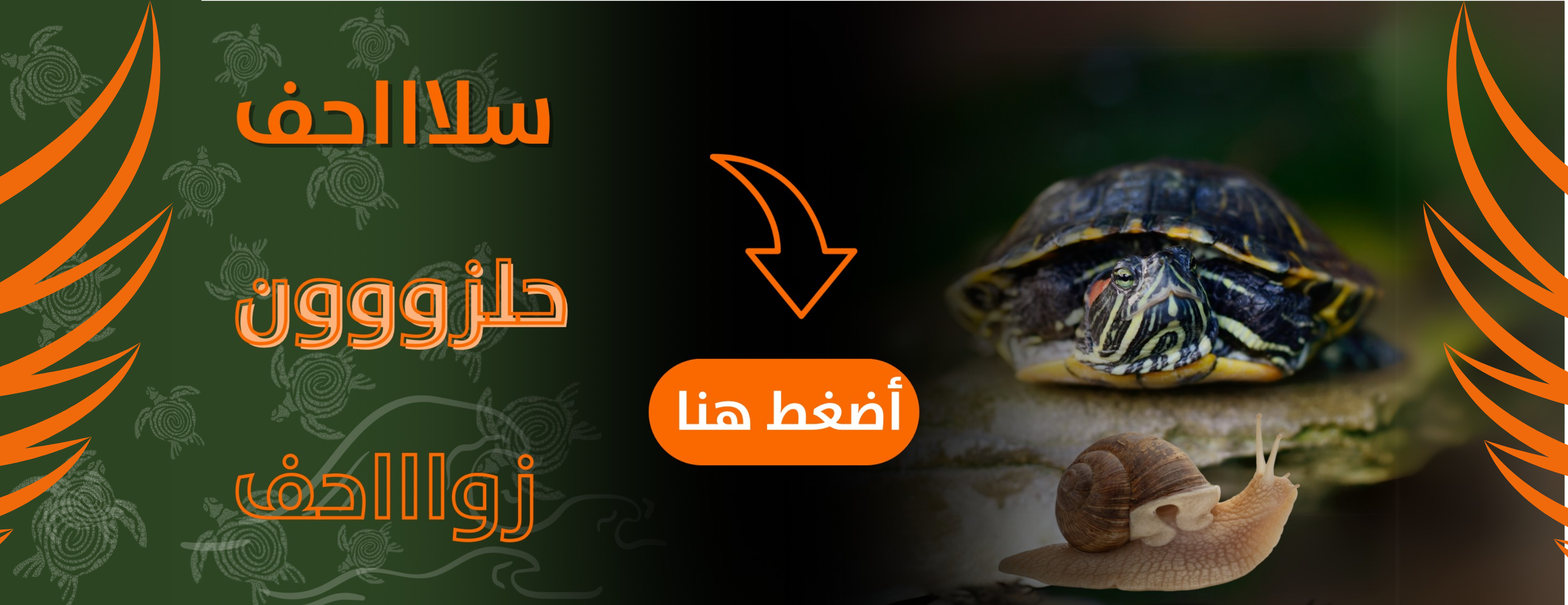 ميو ميو image-slider-0