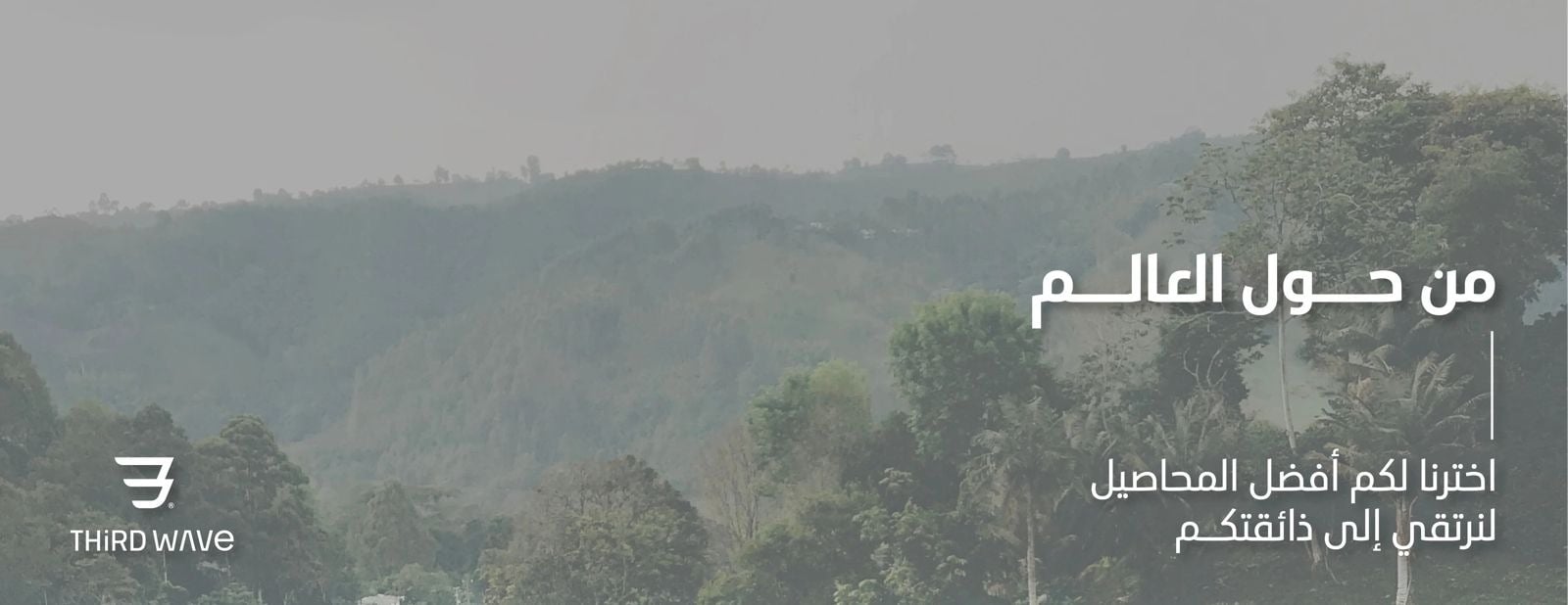 THiRDWAVE image-slider-0