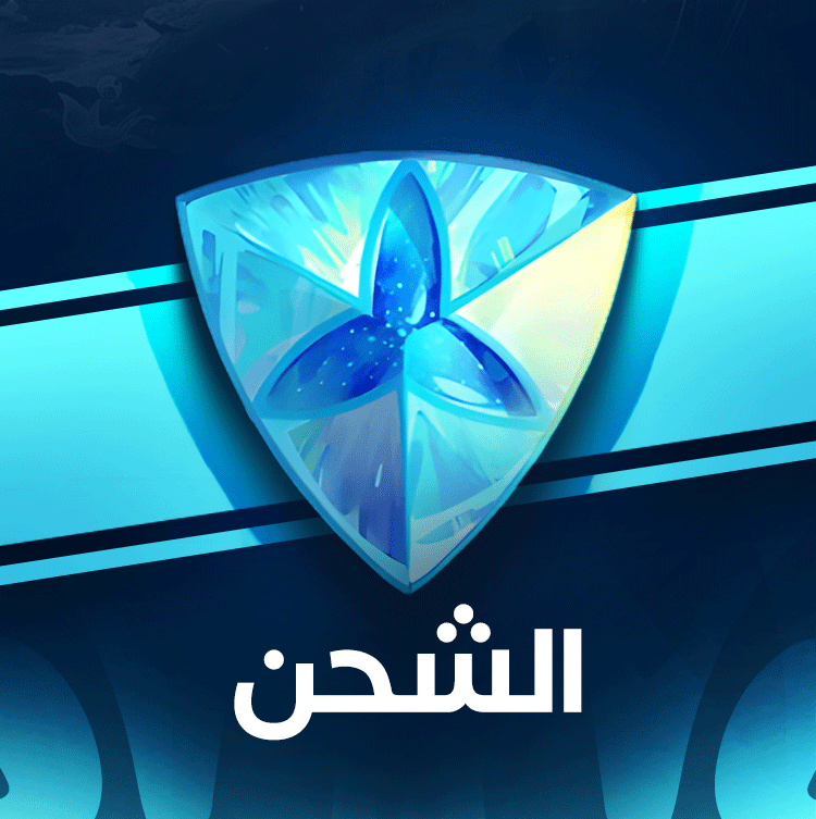 القسم الخاص بالشحن