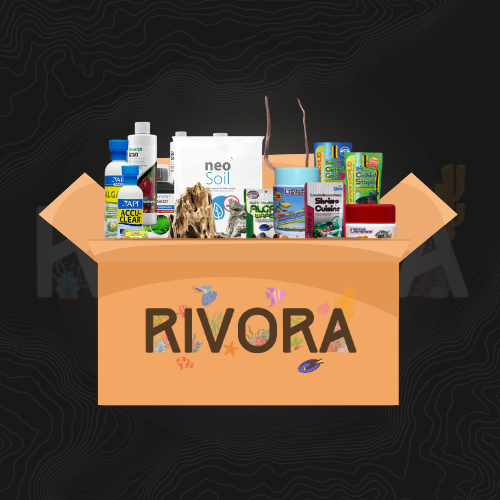 https://cdn.salla.sa/form-builder/lNSiSrJnEIOtsarBXz7eb7r8b5iw7jLUhpznBVKW.png
