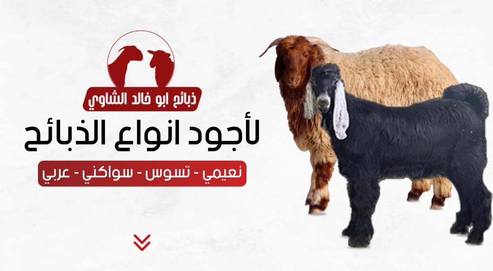 ذبائح ابو خالد الشاوي image-slider-0