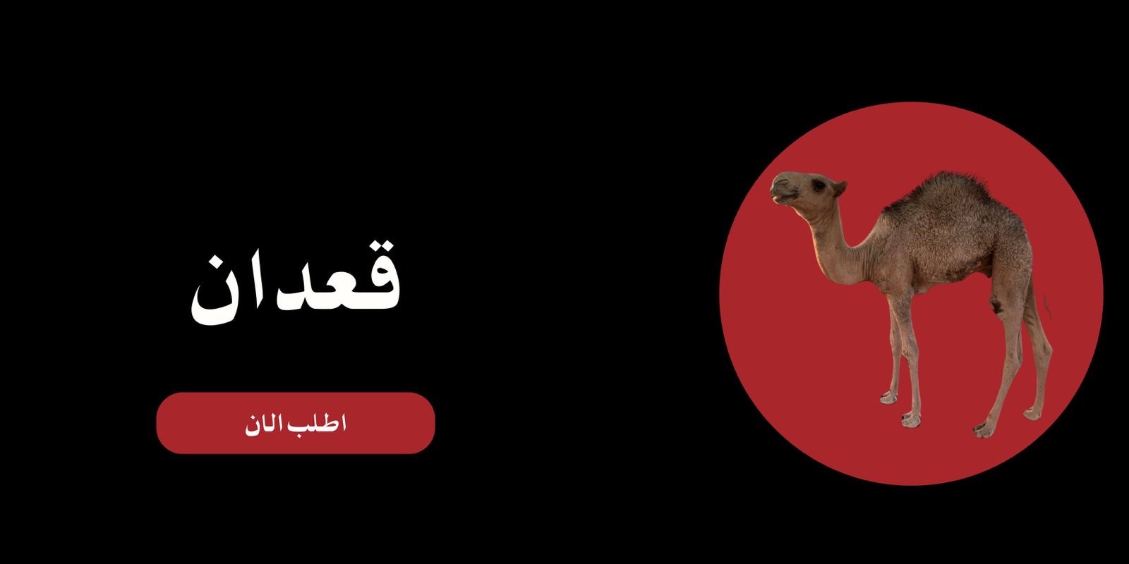 fixed banner