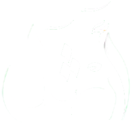 متجر امثل للتسويق