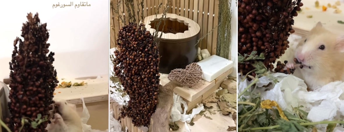 نونات image-slider-3