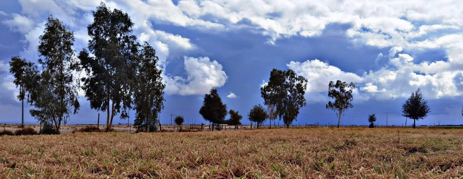 حَب الحصيد image-slider-0