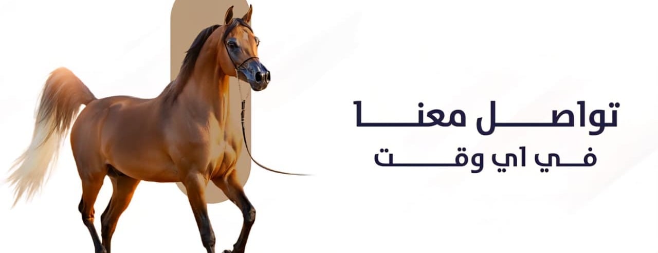 نادي ستارلايت للفروسية image-slider-0