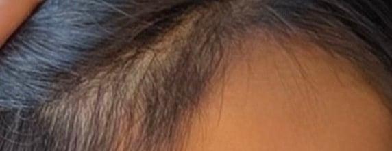 شجره image-slider-3