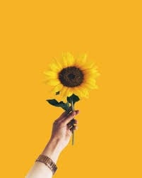 غادة اليوسف