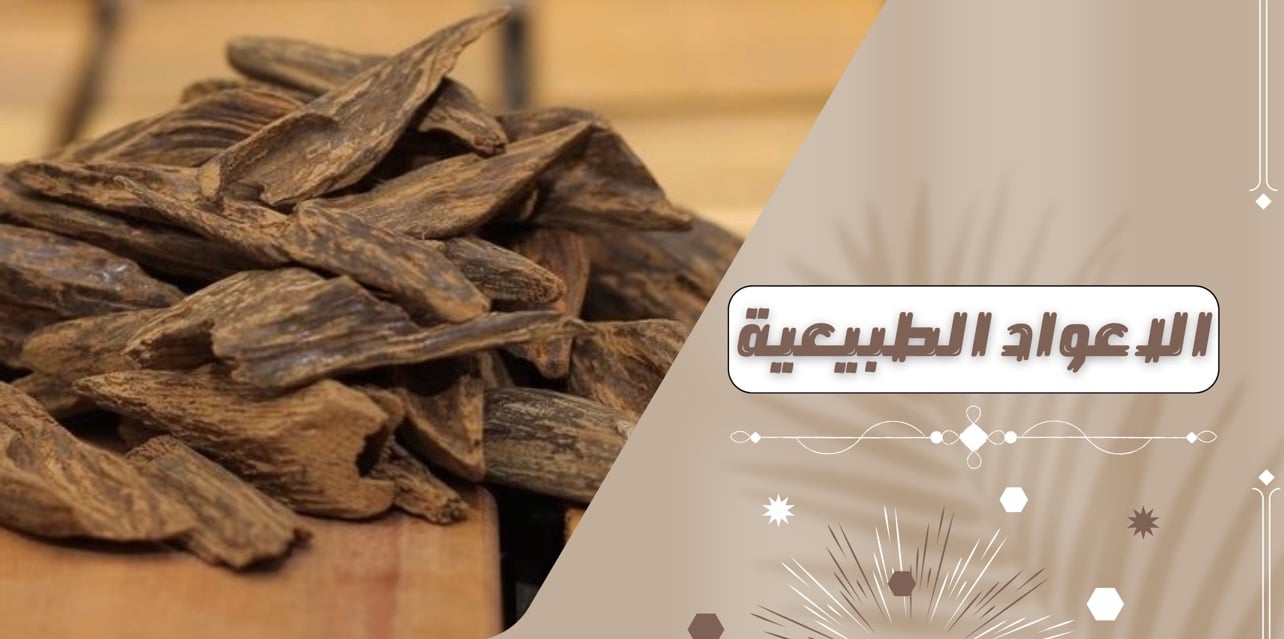 Banner  | روعة العود