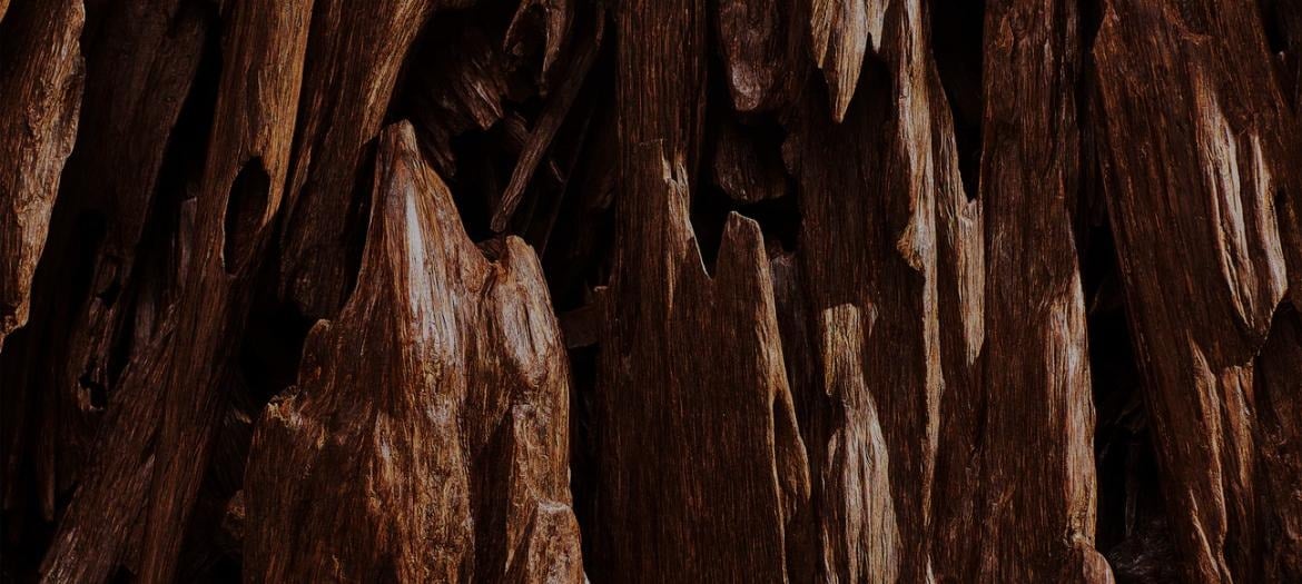 Special products slider