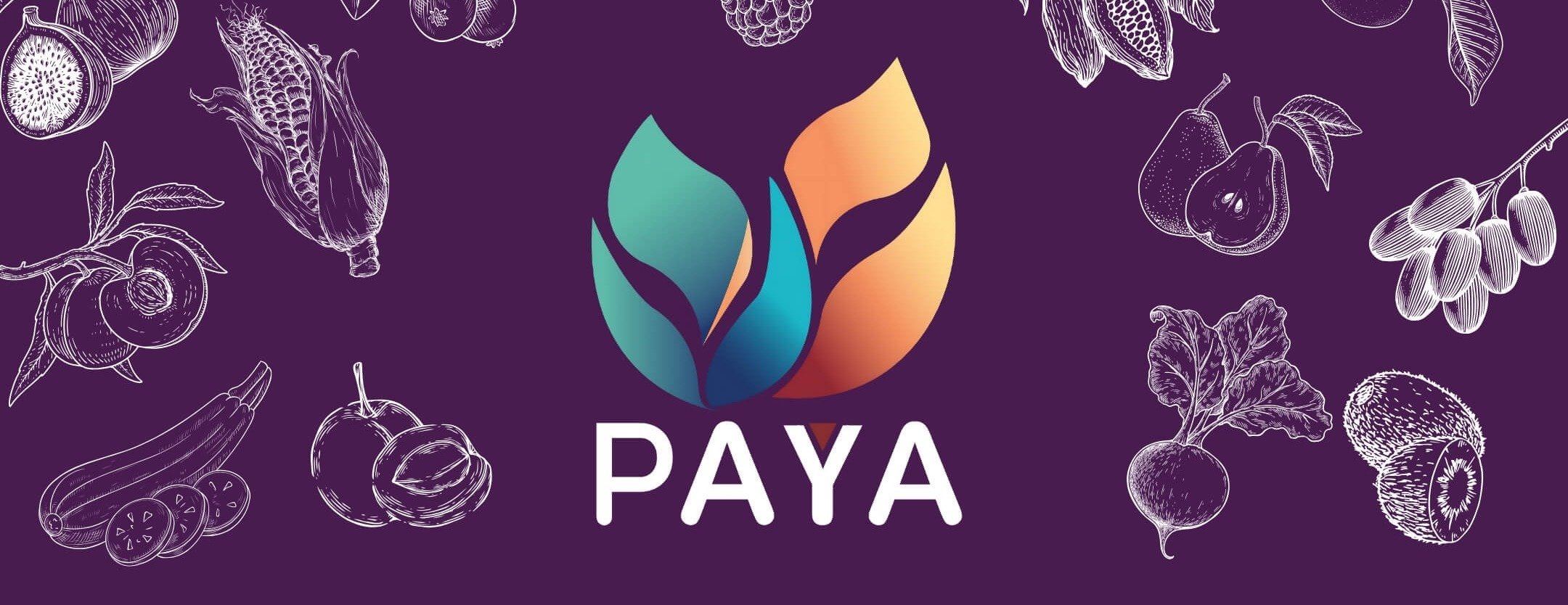 Paya image-slider-0