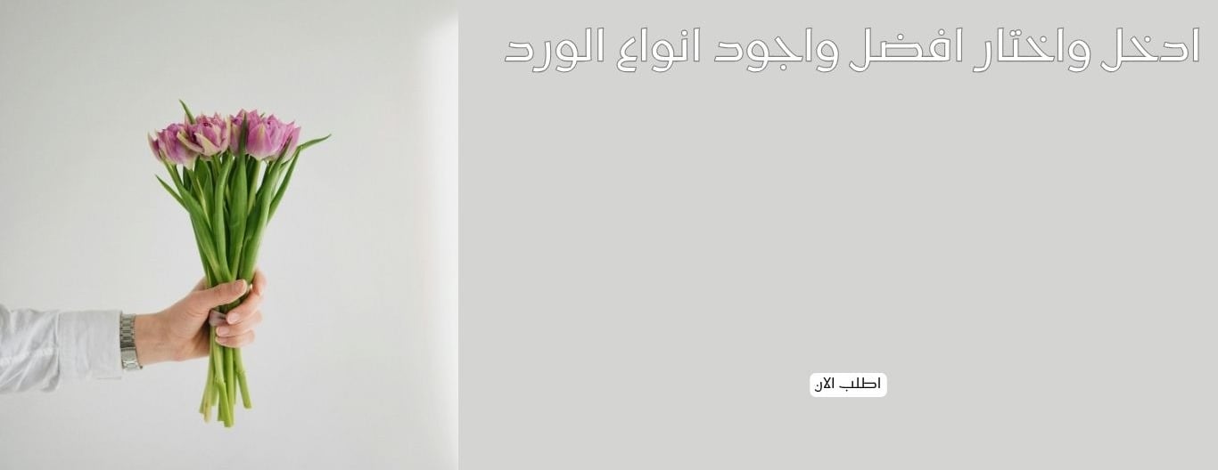 Rosmek image-slider-0