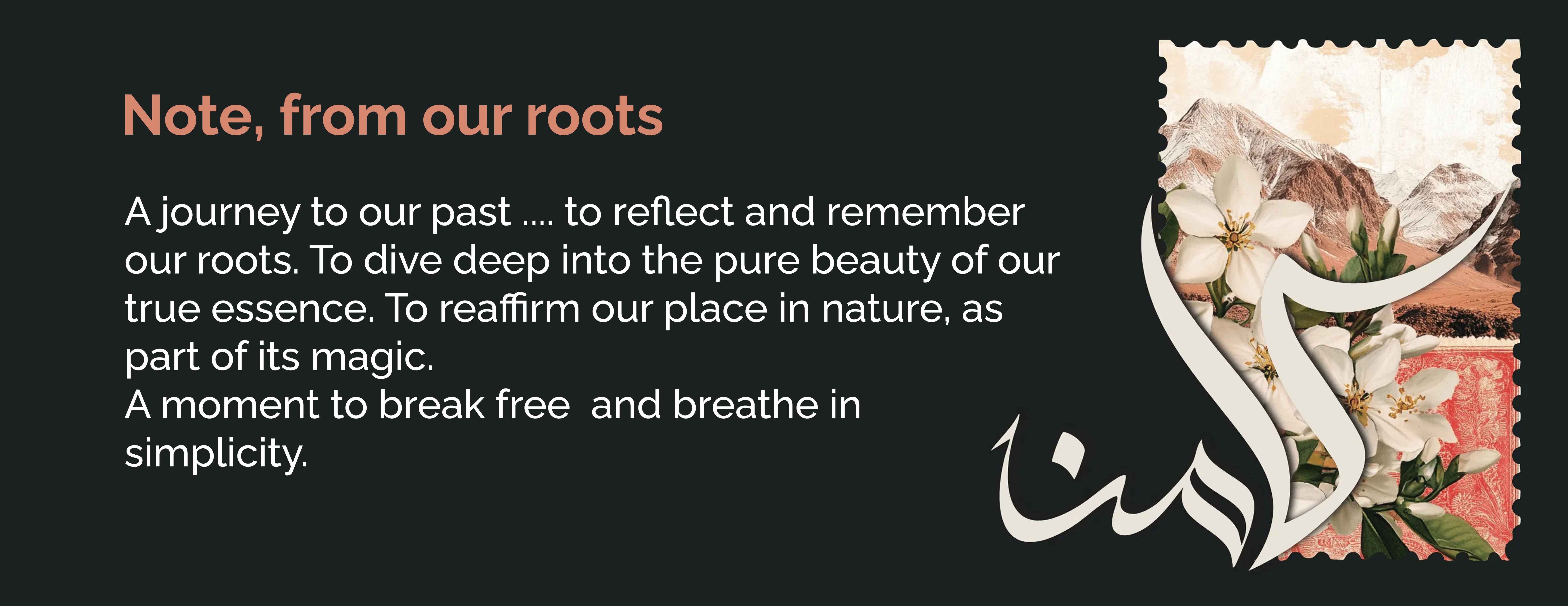 MISTQ image-slider-1