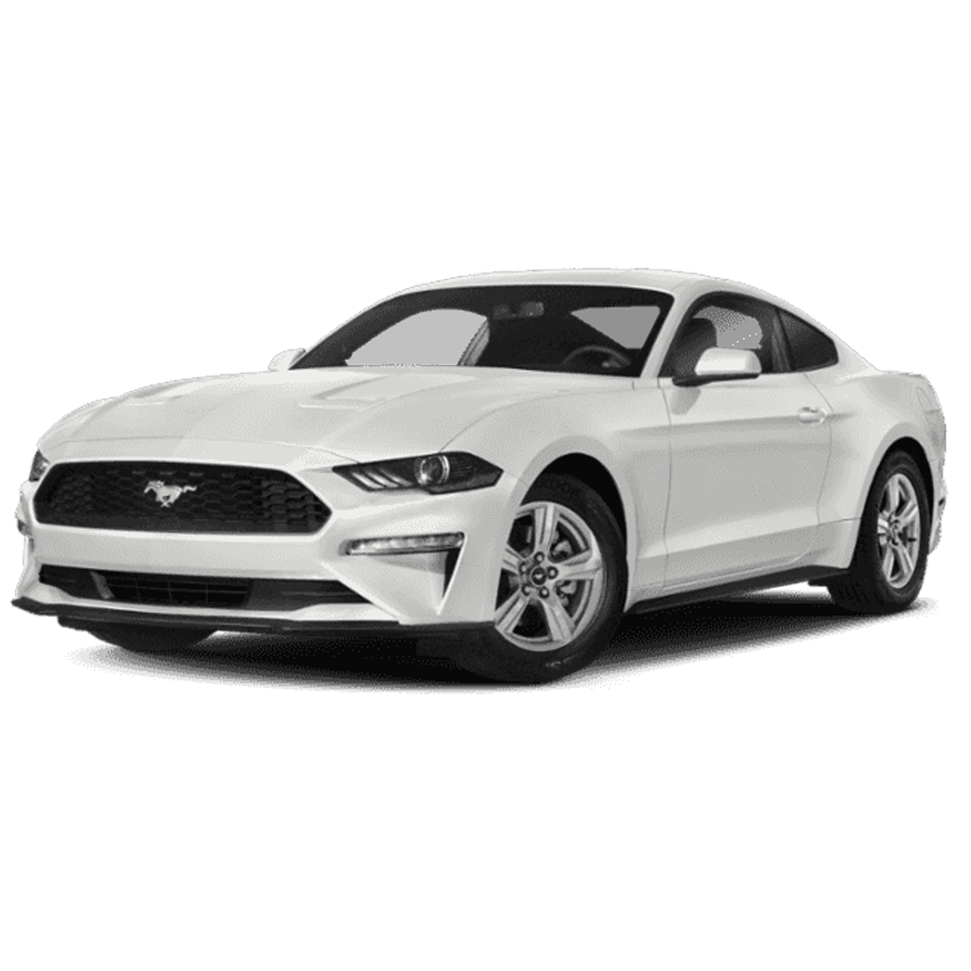 موستنج ايكوبوست