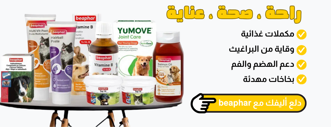 مرقط image-slider-3