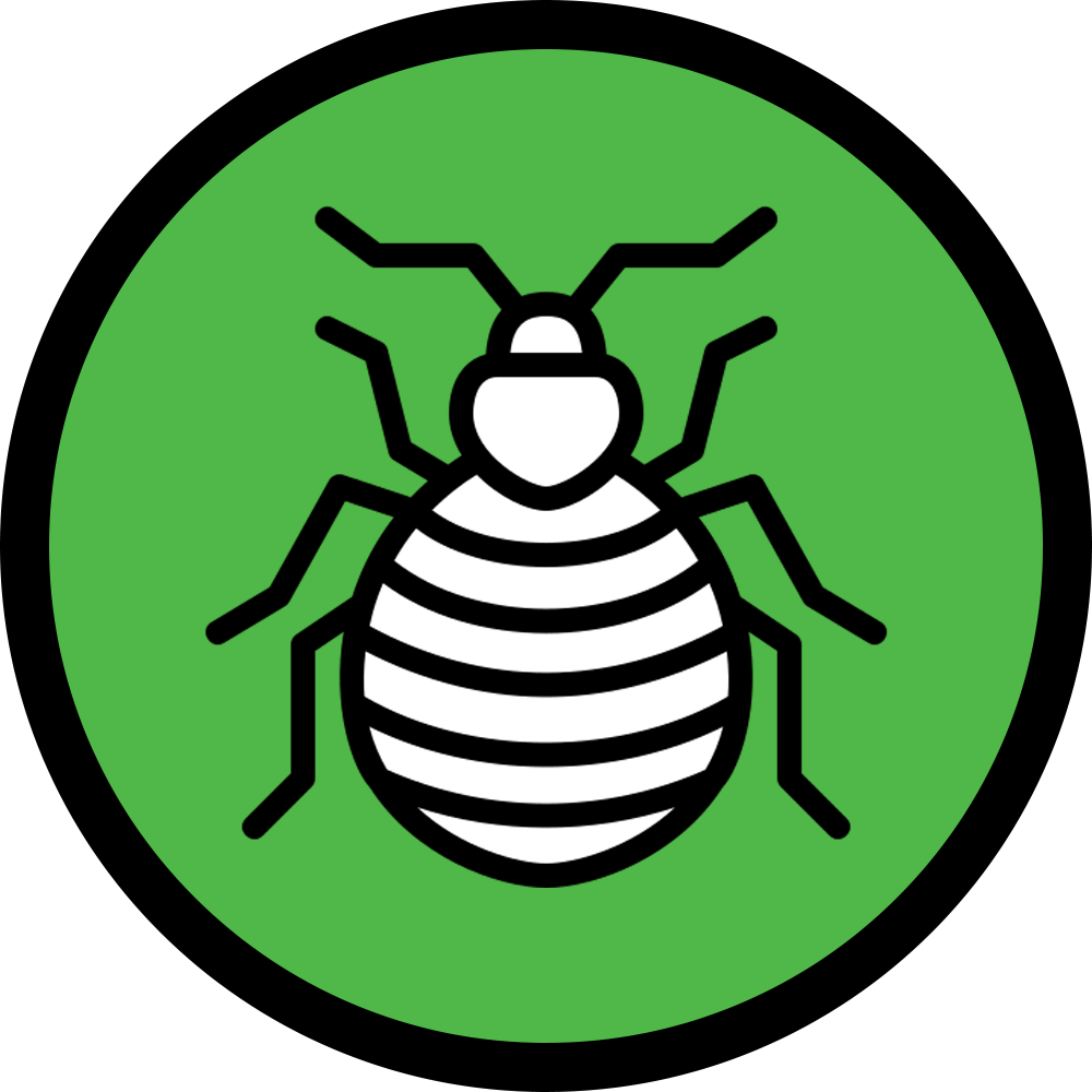 Bed bug pesticides